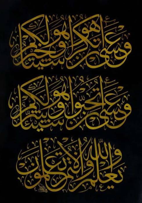 وَعَسَىٰ أَن تَكْرَهُوا شَيْئًا وَعَسَىٰ أَن تَكْرَهُوا شَيْئًا